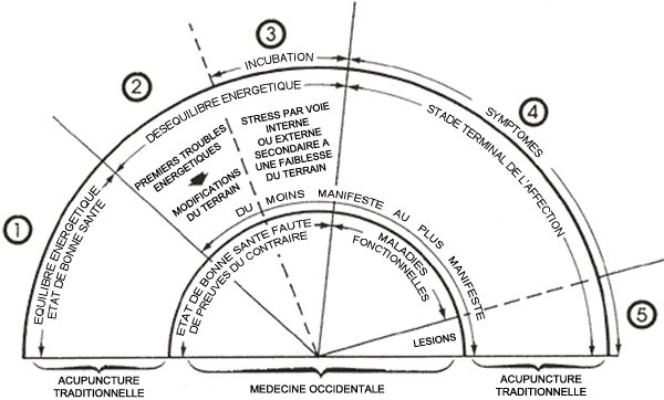 schema